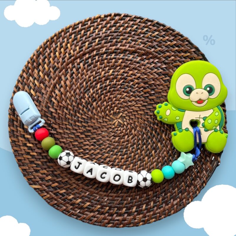 Turtle Pre Set Teether #1